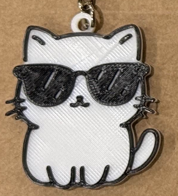 cool kitty